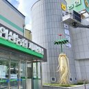 안성인삼농협 본점 | 추석맞이 할인 행사 중 홍천 강원인삼농협 본점 방문후기