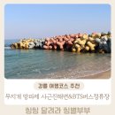 버스정류장 | 강릉 여행코스 추천 무지개 방파제 사근진해변 그리고 BTS버스정류장 방문후기