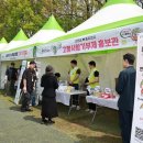 석기사랑 이미지