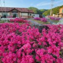 야시대1리(행인교) 경로당 이미지