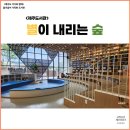 샘솟는 작은도서관 | 제주도 어린이 도서관 추천! &lt;별이 내리는 숲&gt; 방문 후기 ft. 운영시간, 주차정보