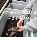 우포 잠자리 나라 | 창녕 아이와 갈만한 곳 창녕우포곤충나라