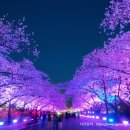 우리안 펜션 이미지