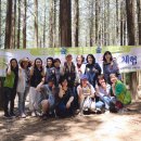 초록빛유치원 이미지