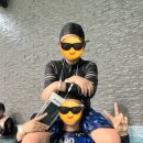 대진 윙 태권도 이미지