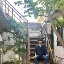 노타이틀 이미지