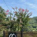 달다란금산 | 금산 자쿠지가 있는 쉬기좋은 숙소 ; 달다란금산(내돈내산, 솔직후기)