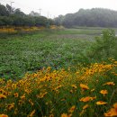 리츠호텔 이미지