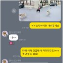 놀루오숑 | 대전애견호텔 스트레스 없었던 놀루오숑