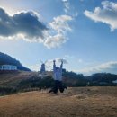 언덕위에 풍차 | 거제 바람의 언덕 겨울 여행｜풍차 포토존+신선대 산책 코스(가는법·주차·비용·동선 총정리)