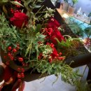 그린 독산 이미지