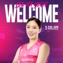 두명째 프로 취업한 &#39;신인감독 김연경&#39; 필승 원더독스 이미지