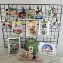 스윗드림 펫 이미지