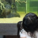 (주)에듀펫 이미지