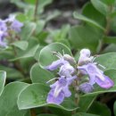 구연4로 이미지