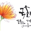 토요캘리그라피 이미지