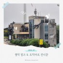 로봇폐품 | 정크 트릭아트 전시관 솔직후기 아이랑 떠난 영덕 여행 코스 추천!