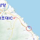 바다숲 민박 Daum카페