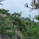 신덕정미소 | 경주 남산 국립공원에 다녀오다.