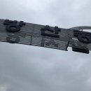 로즈아씨 이미지