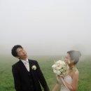 무비샷웨딩스튜디오 | 제주 안개 속 영화 같은 웨딩스냅| 필름 스냅 제주,경주 웨딩스냅 후코무비 촬영 후기