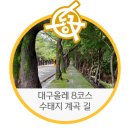 팔공산올레길 8코스 이미지
