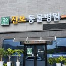 진보동물병원 이미지