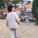 모드니한옥펜션 이미지