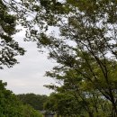 톳고개로 이미지