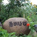 서유농원 네이버블로그