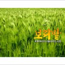 너울농장 이미지