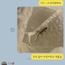 부림장갑 이미지
