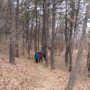 진밭입구 이미지