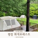 평창 전통시장 화장실 | 평창 휘게포레스트 명당 잔디존10 아기랑 우중캠핑 #1