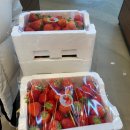 한샘마트 이미지