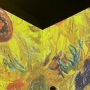 마루콩콩 이미지