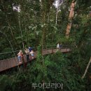 우림카써비스 이미지