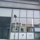 카밍캣 고양이미용 이미지