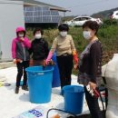세동푸드 이미지