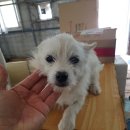 무전2길 이미지