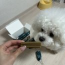 구강농장 | 강아지덴탈껌 치석제거 가능한 SBS TV 동물농장 벨라맥스
