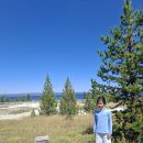 0819.West Thumb Geyser Basin 이미지