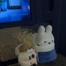 우일약국 이미지