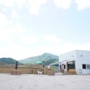 레이지독 이미지