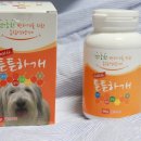 이루다컴퍼니 이미지