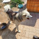 새만금관광안내소 이미지