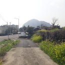 화순로56번길 이미지