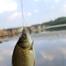 도영상회 이미지