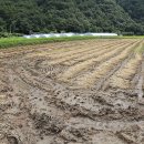 청정아리풍차펜션 이미지