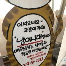 냥이시대 이미지